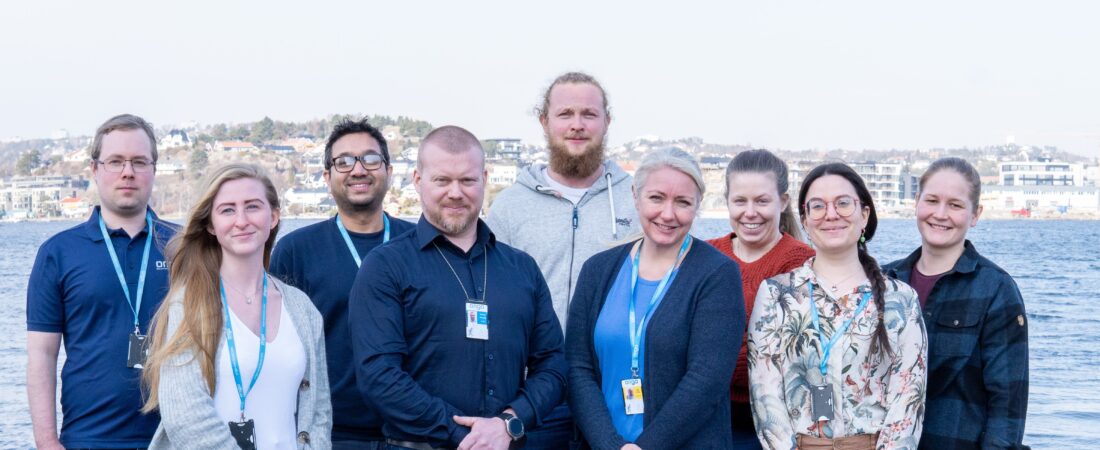 Meet our new colleagues! #TeamOrigo